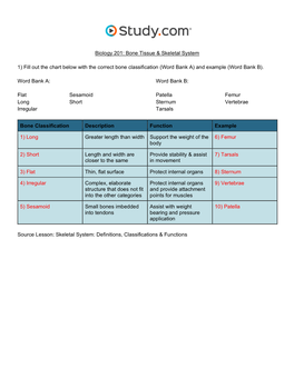 Bone Tissue & the Skeletal System Visual Worksheet