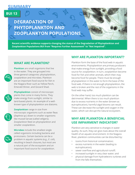 Phytoplankton and Zooplankton Populations
