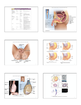 1 Copyright © the Mcgraw-Hill Companies, Inc. Permission