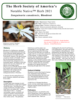 Sanguinaria Canadensis, Bloodroot