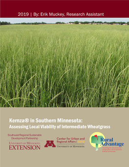 Kernza® in Southern Minnesota