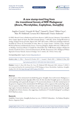 A New Stump-Toed Frog from the Transitional Forests of NW Madagascar (Anura, Microhylidae, Cophylinae, Stumpffia)