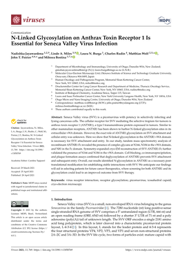 N-Linked Glycosylation on Anthrax Toxin Receptor 1 Is Essential for Seneca Valley Virus Infection