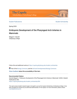 Embryonic Development of the Pharyngeal Arch Arteries in Mammals