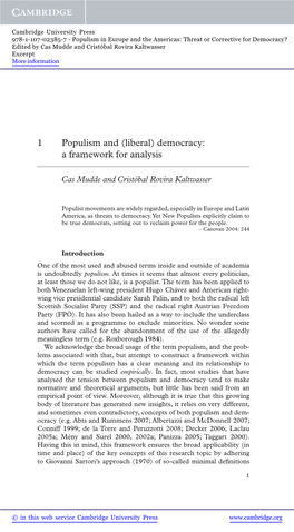 (Liberal) Democracy: a Framework for Analysis