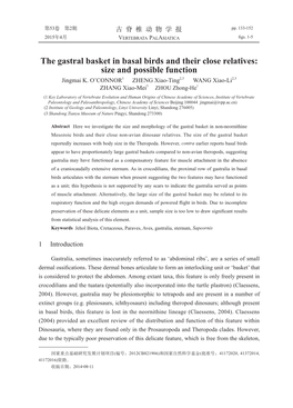 The Gastral Basket in Basal Birds and Their Close Relatives: Size and Possible Function Jingmai K