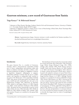 Geastrum Minimum, a New Record of Geastraceae from Tunisia