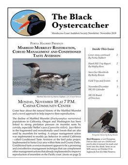 The Black Oystercatcher Mendocino Coast Audubon Society Newsletter- November 2019