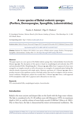 ﻿A New Species of Baikal Endemic Sponges (Porifera, Demospongiae