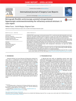 Retrograde Flexible Ureteroscopy-Assisted