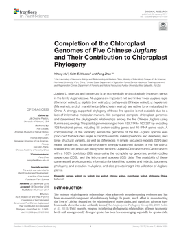 Completion of the Chloroplast Genomes of Five Chinese Juglans and Their Contribution to Chloroplast Phylogeny