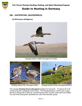 08K – WATERFOWL (WASSERWILD)