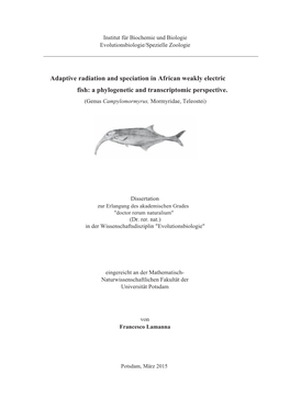 A Phylogenetic and Transcriptomic Perspective