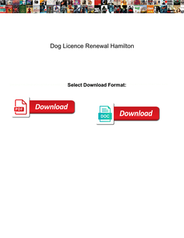 Dog Licence Renewal Hamilton