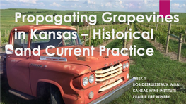 Propagating Grapevines in Kansas – Historical and Current Practice