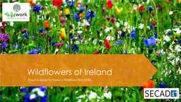 Wildflowers of Ireland