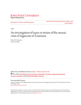 An Investigation of Types Or Strains of the Mosaic Virus of Sugarcane in Louisiana Eaton M