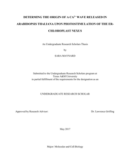 Determing the Origin of a Ca2+ Wave Released in Arabidopsis Thaliana Upon Photostimulation of the Er