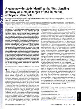 A Genomewide Study Identifies the Wnt Signaling Pathway As a Major