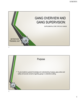 Gang Overview and Gang Supervision