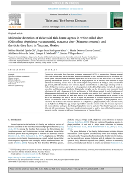 Molecular Detection of Rickettsial Tick-Borne Agents in White-Tailed