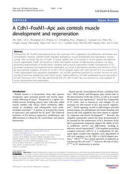 A Cdh1–Foxm1–Apc Axis Controls Muscle Development And