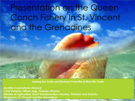 Presentation on the Queen Conch Fishery in St. Vincent and the Grenadines