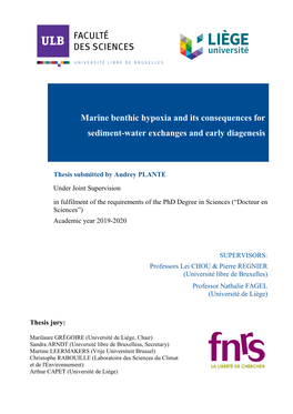 Marine Benthic Hypoxia and Its Consequences for Sediment-Water