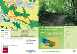 The Chalk-Banks of Le Quesne and the Mont D'arguël