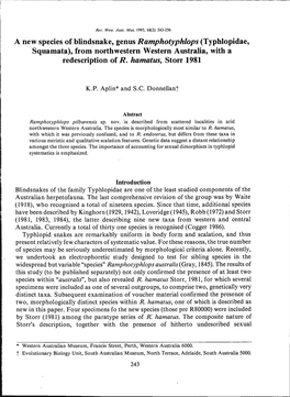 A New Species of Blindsnake, Genus Ramphotyphlops (Typhlopidae, Squamata), from Northwestern Western Australia, with a Redescription of R