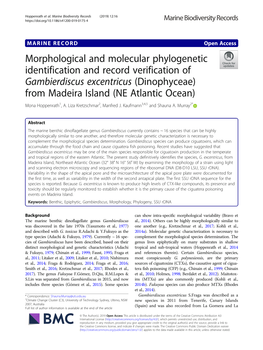 Morphological and Molecular Phylogenetic Identification And