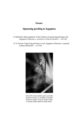 Openwing Perching in Zygoptera