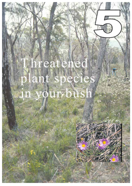 Threatened Plant Species in Your Bush About This Kit This Kit Is Designed to Help You Identify Any Threatened Species That May Be Present in Your Remnant Native Bush