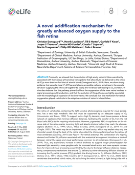 A Novel Acidification Mechanism for Greatly Enhanced Oxygen Supply To