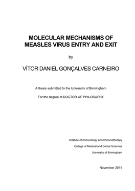 Molecular Mechanisms of Measles Virus Entry and Exit