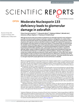 Moderate Nucleoporin 133 Deficiency Leads to Glomerular Damage In