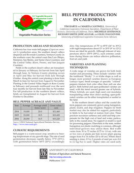 Bell Pepper Production in California