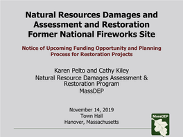 Massdep NRD Assessment and Restoration