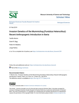 Fundulus Heteroclitus): Recent Anthropogenic Introduction in Iberia