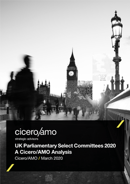 UK Parliamentary Select Committees 2020 a Cicero/AMO Analysis Cicero/AMO / March 2020