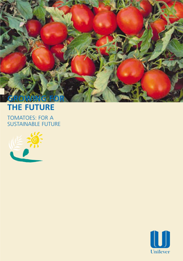 Sustainable Tomatoes