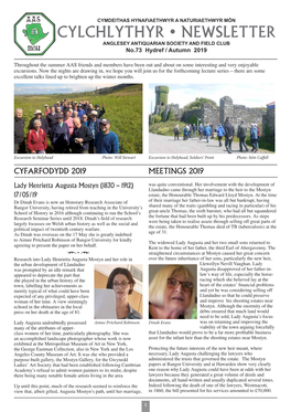 CYLCHLYTHYR • NEWSLETTER ANGLESEY ANTIQUARIAN SOCIETY and FIELD CLUB No.73 Hydref / Autumn 2019