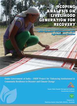 Scoping Analysis on Livelihood Generation for Recovery Under GOI-UNDP Project on ‘Enhancing Institutional & Community Resilience to Disaster and Climate Change’