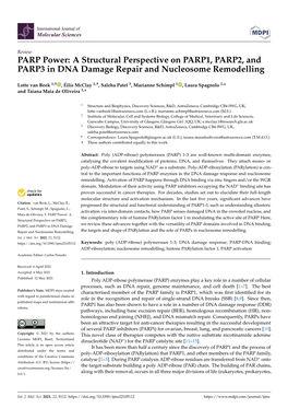 PARP Power: a Structural Perspective on PARP1, PARP2, and PARP3 in DNA Damage Repair and Nucleosome Remodelling