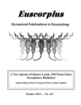 A New Species of Buthus Leach, 1815 from Libya (Scorpiones: Buthidae)