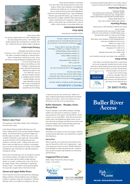 Buller River Access