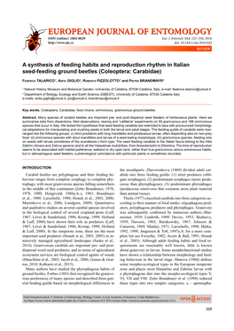 A Synthesis of Feeding Habits and Reproduction Rhythm in Italian Seed-Feeding Ground Beetles (Coleoptera: Carabidae)