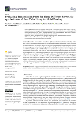 Evaluating Transmission Paths for Three Different Bartonella Spp. in Ixodes Ricinus Ticks Using Artiﬁcial Feeding