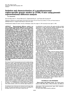 Region-Specific Genetic Marker in C57BL/6 Mice Using Genomic Representational Difference Analysis (X-Y Chromosome) IVETA D