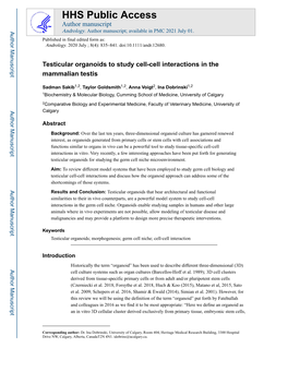 Testicular Organoids to Study Cell-Cell Interactions in the Mammalian Testis